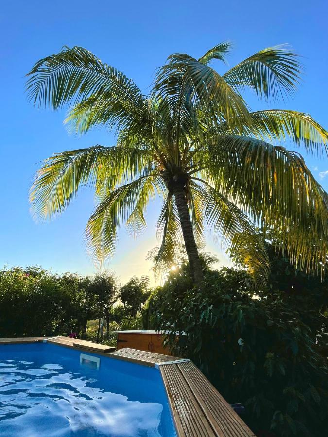 Villa Nature Caraibe Lodge, Vue Mer, Piscine Privee Deshaies Ngoại thất bức ảnh